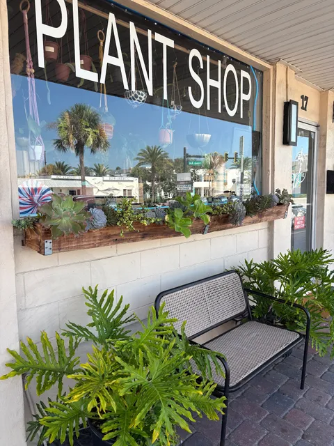 Native Plant Shop ~ Houseplants + Handcrafted Goods