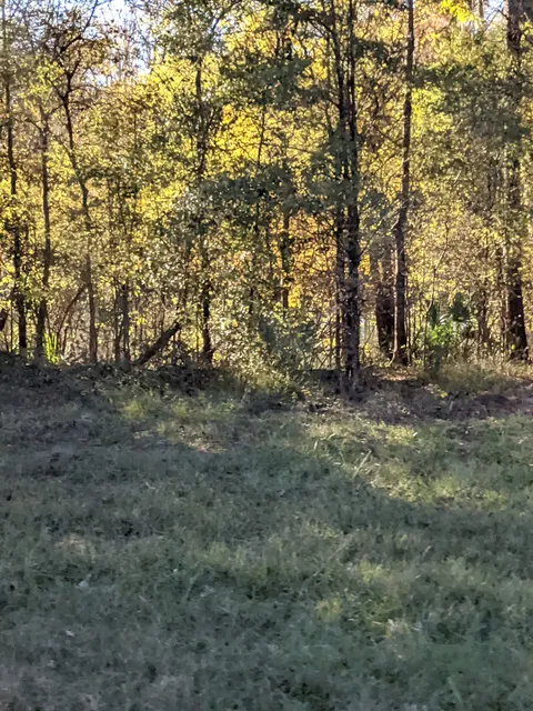 Big Lake State Wildlife Management Area