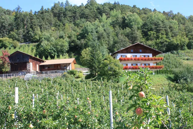 Ferienbauernhof Masunerhof