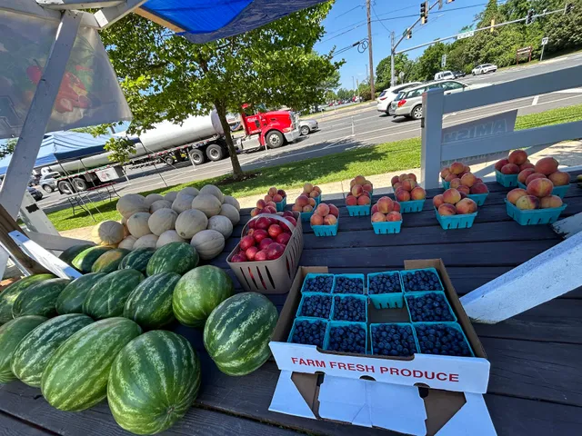 Moholt Fresh Produce