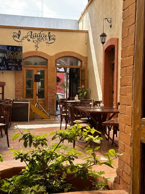Alado Cocina & Cantina
