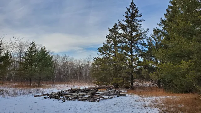 Cedar Bog Self-guiding Trail