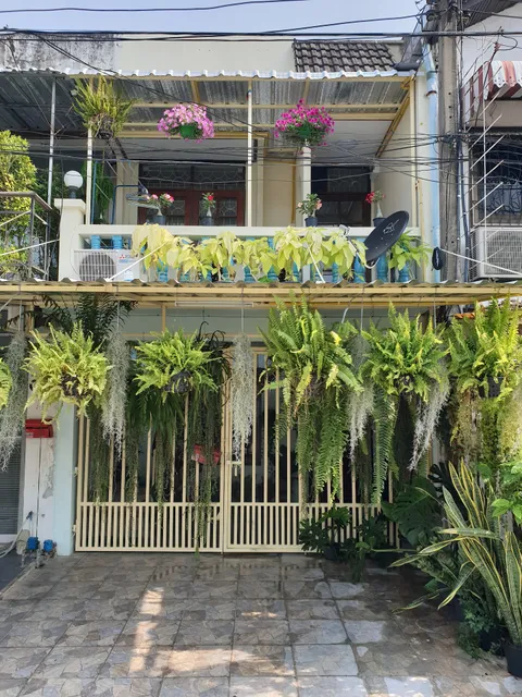 297 Nature Residence