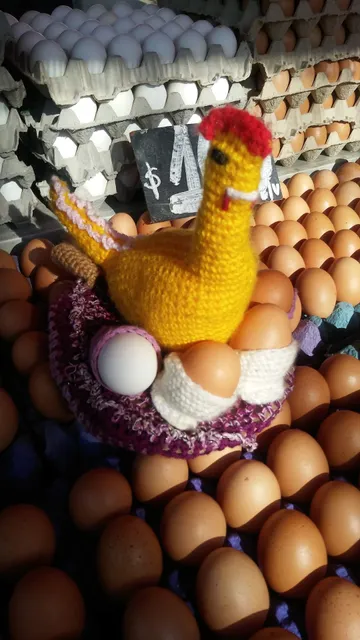 Feria calle la Serena. Recoleta