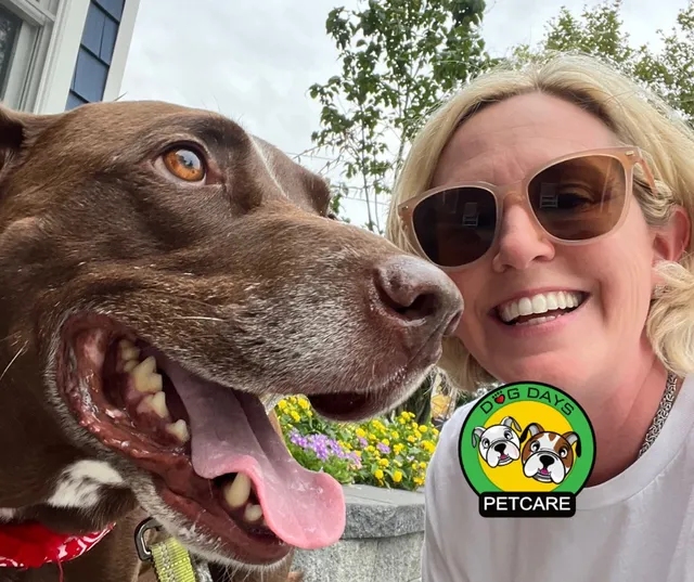 Dog Days Pet Care