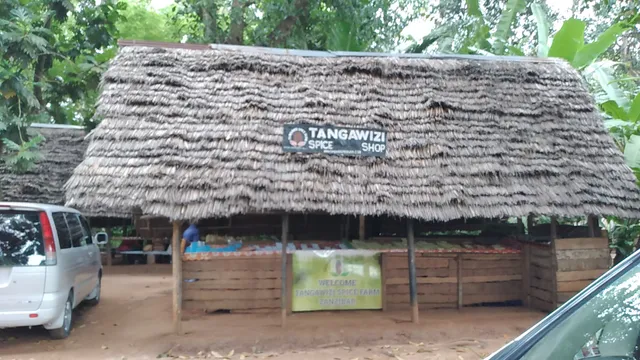Tangawizi Spice Farm