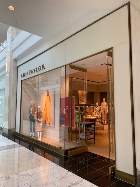 Ann Taylor