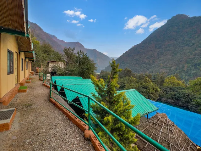 Cradle of Life Camp by La Foret