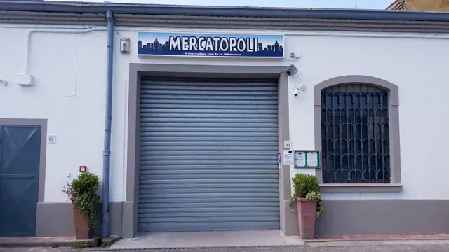 Mercatopoli Pisa La Fontina