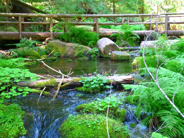 Blue Pool Day Use Area