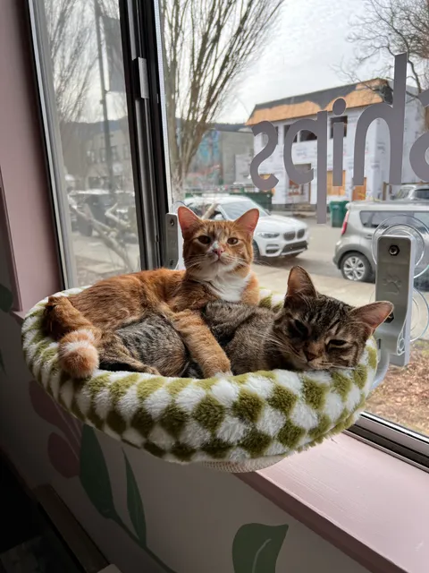 June and Gem Ceramics