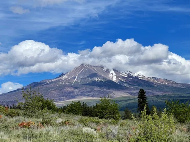 Mt. Shasta View Point