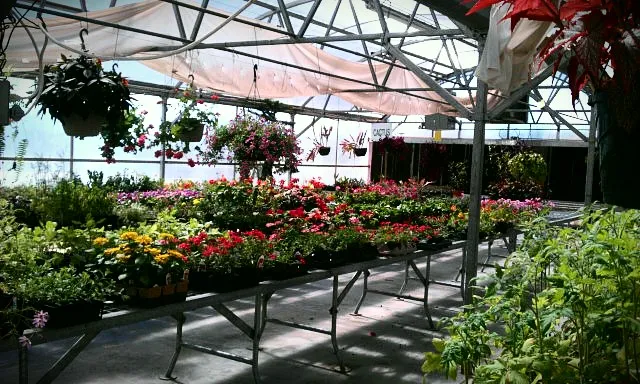 Center of Family Love