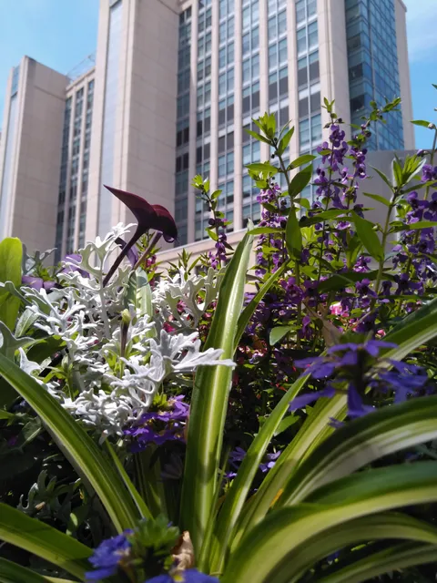 Barnes-Jewish Euclid Garage