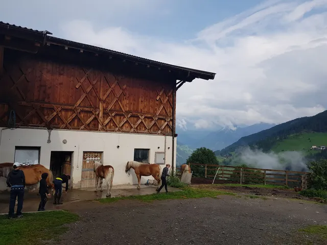 Egarthof Reiterbauernhof