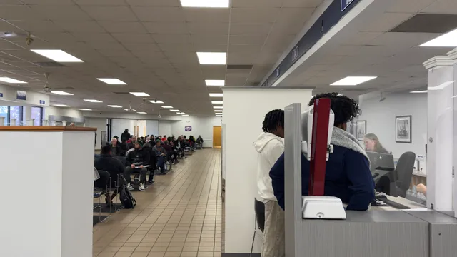 Department of Motor Vehicles