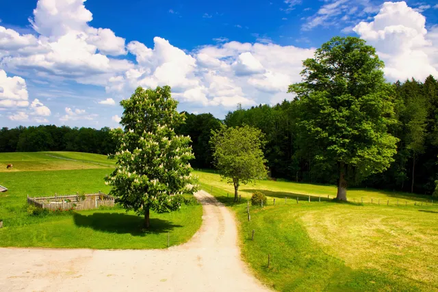 Ferienwohnung Singer
