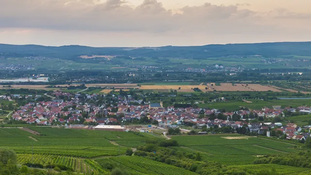 WEINGUT FESER