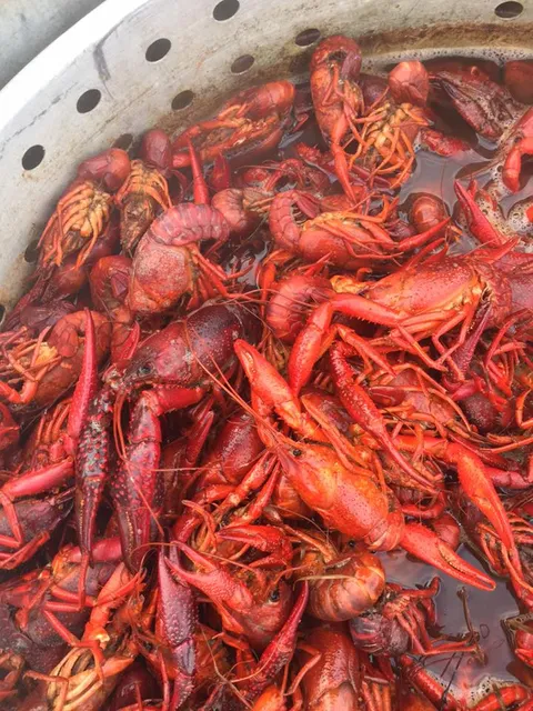 T'Beaux's 61 Crawfish