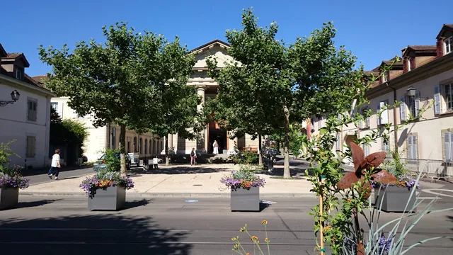 Les Amis musiquethéâtre