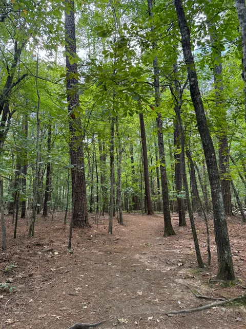 Sal's Branch Trailhead