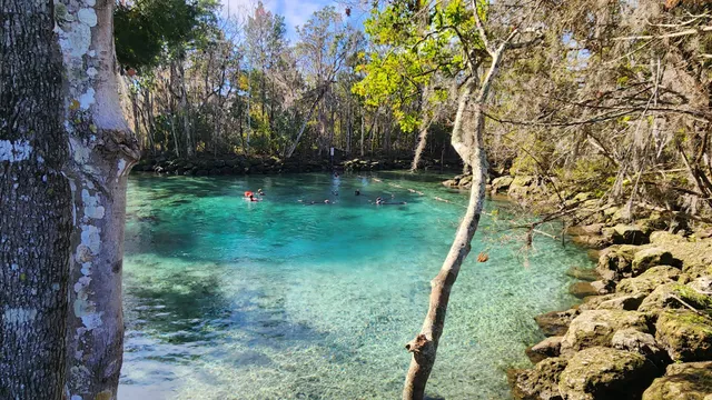 Three Sisters Springs Center