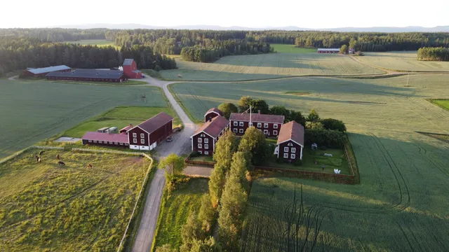 Hofra Bed & Breakfast