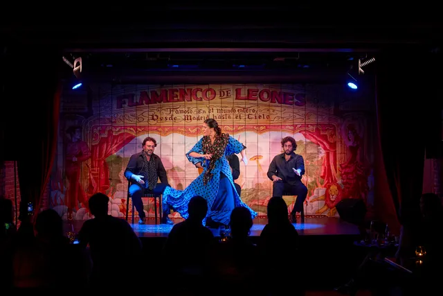 Flamenco de Leones