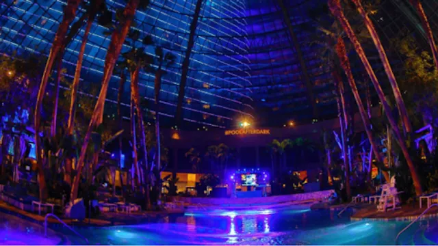 The Pool After Dark Nightlife