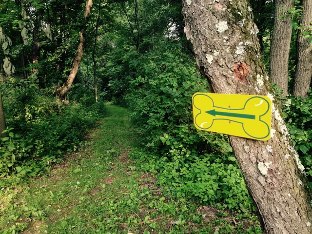 Misty Pines Dog Park Co