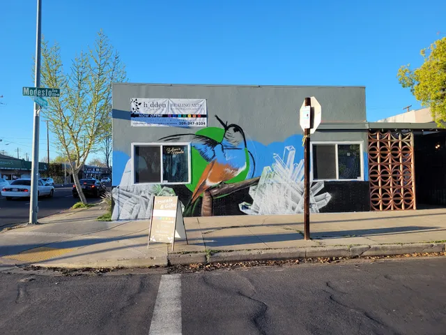 Hidden Beauty Crystal Shop