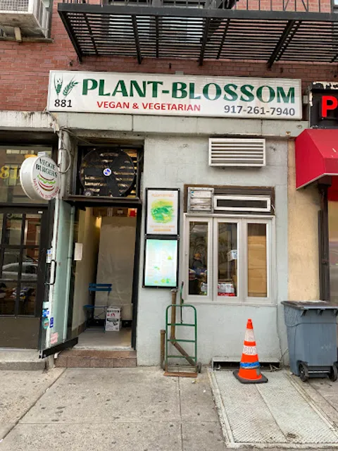 Plant-Blossom