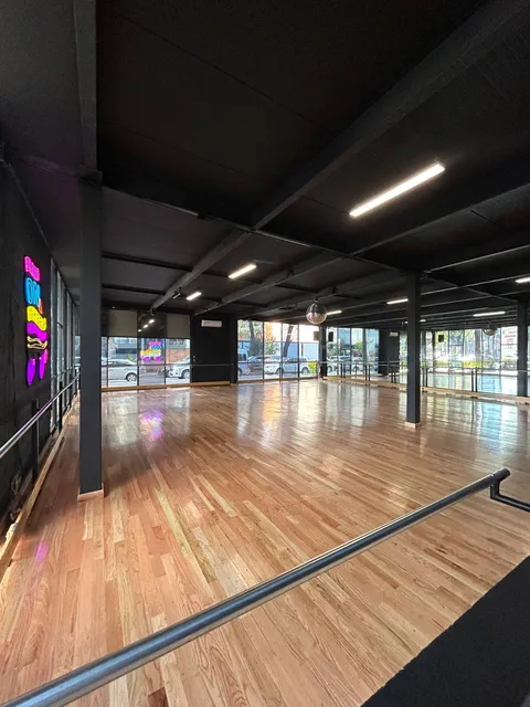 Bliss on Wheels-Roller dance studio