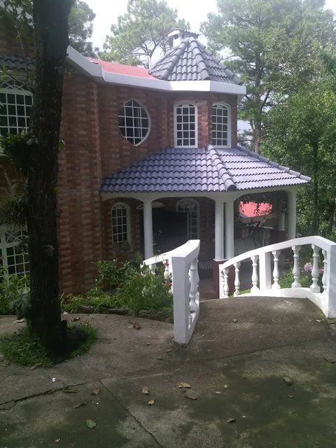 Tronco 10 El encinal