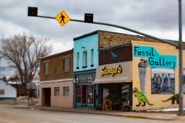 Wyoming Fossils, Sawaya's