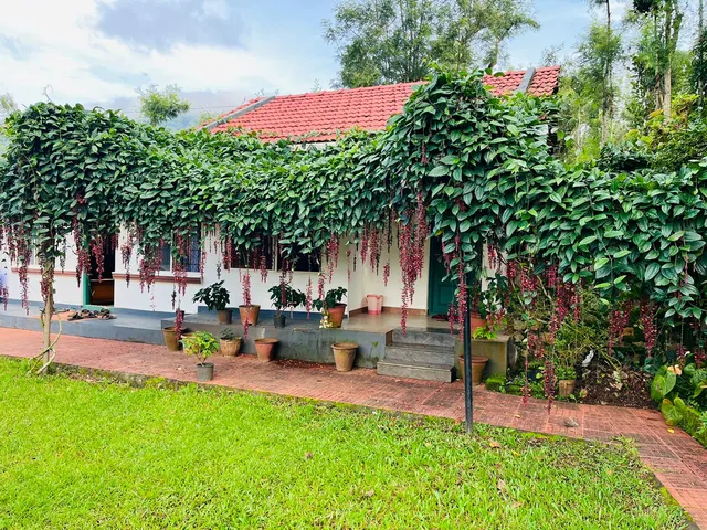Mavinahalli Home Stay