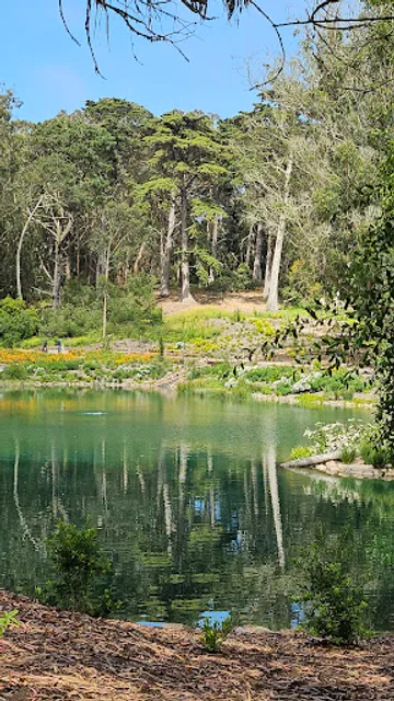 Chain of Lakes Meadow