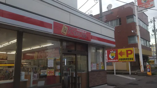 Hasegawa Store Goryokaku Shop