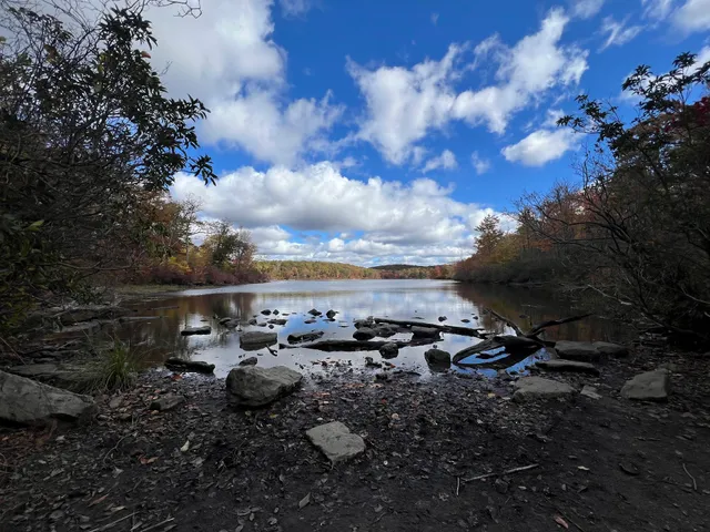 Sunfish Pond Natural Area