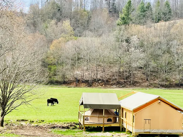 Into the Wild Retreat