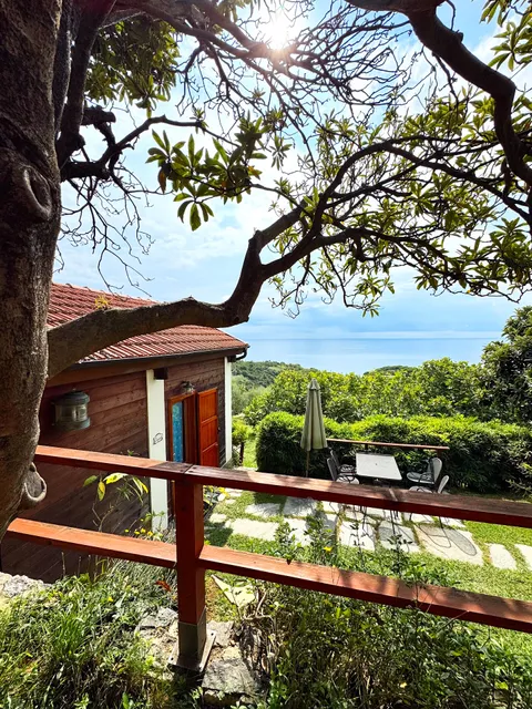 Natta di Monte Tabor