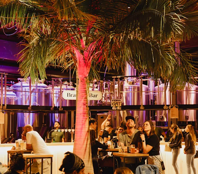 Vienna Kraft Brewpub