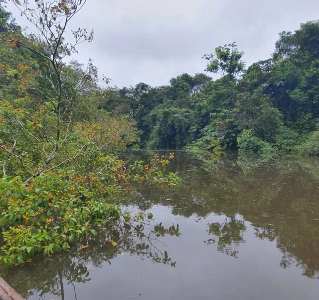 Maniti Expeditions Amazon Eco-Lodge & Tours Iquitos