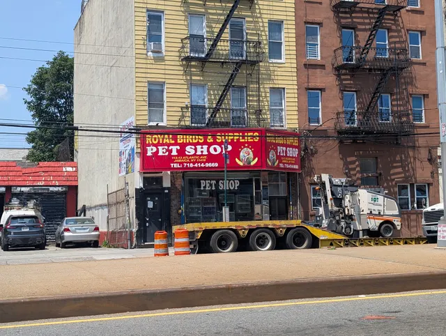 Royal Birds & Supplies