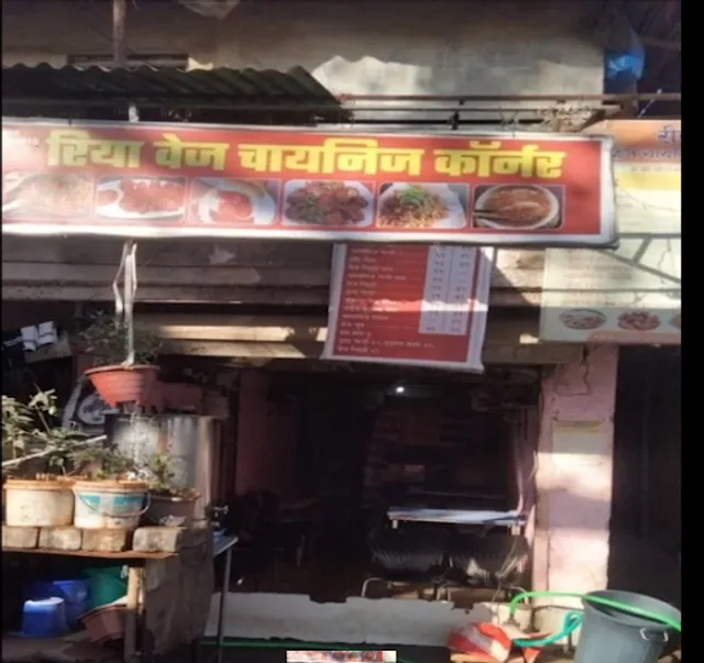 Riya Veg Chinese Corner