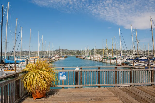 Sausalito Yacht Harbor