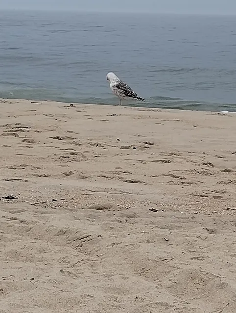 15th Avenue Beach Badge Ticket Booth