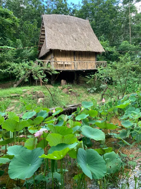 Khu Du lich sinh thai nghi duong Homestay Hoàng Ánh - Kon Xom Luh
