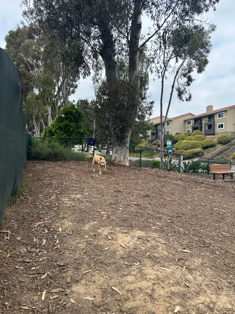 La Jolla Colony Dog Park