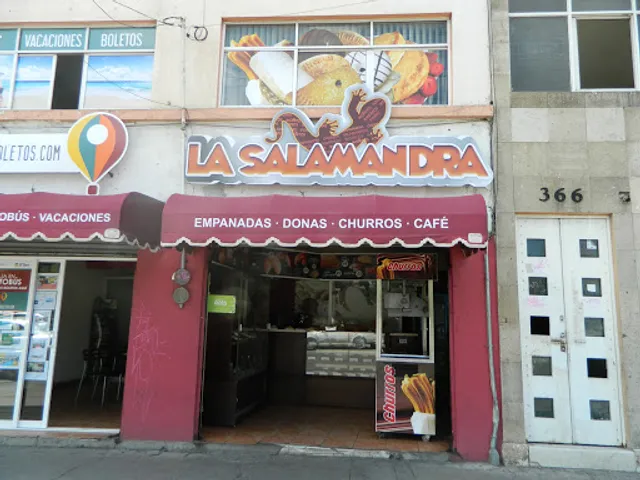 La Salamandra Irapuato